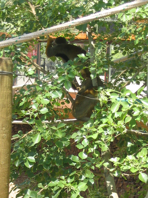 458x617 pixels (280K)